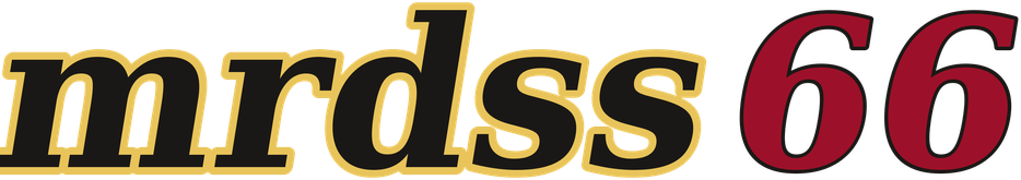 mrdss66 logo